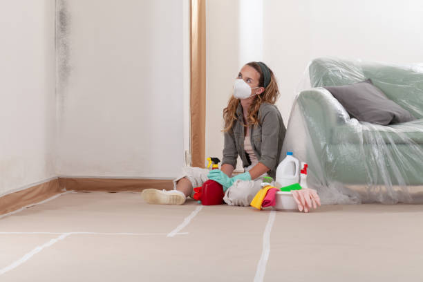 Reliable Mold Remediation contractor in Fords, NJ by Cheap Mold Removal